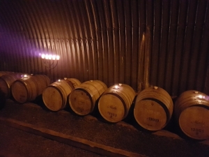 Wine barrels in the cellar of a Marlborough wine cellar