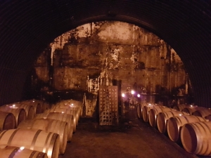 Wine barrels in the cellar of a Marlborough wine cellar