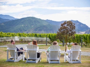 Bladen Winery Marlborough group wine tour