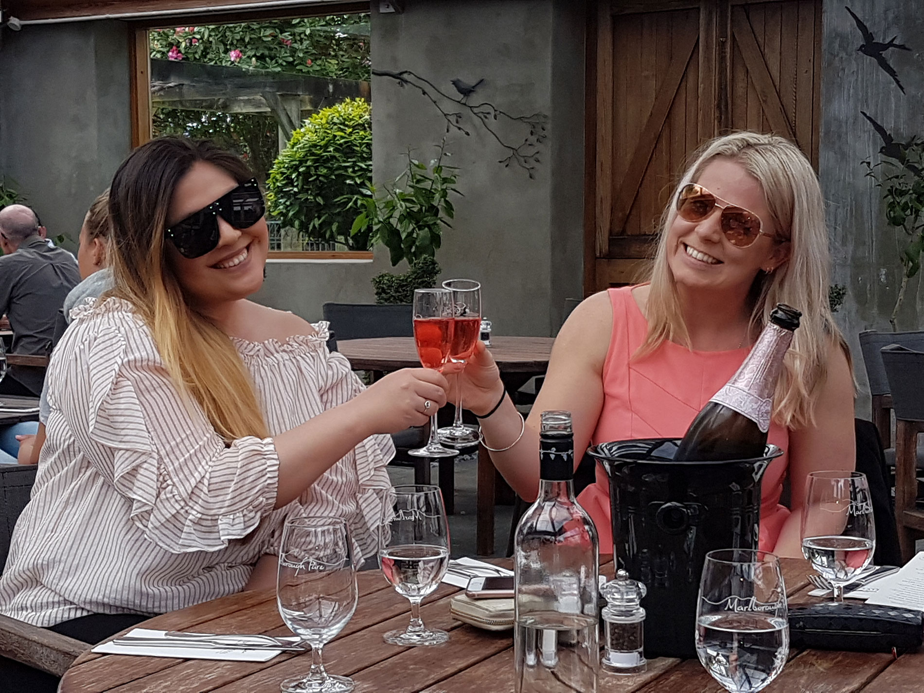 Girls on a private wine tour in Marlborough NZ